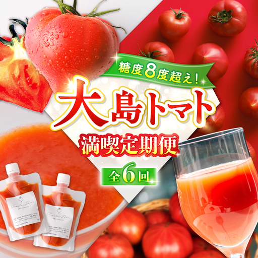 【6回定期便】 トマトづくし定期便 ＜大島造船所 農産グループ＞[CCK045]