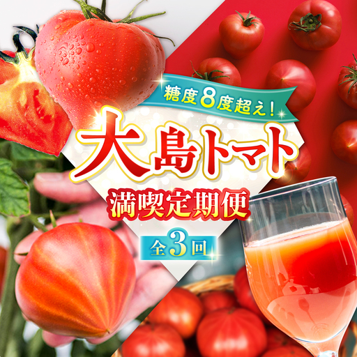 [3回定期便] トマトづくし定期便[大島造船所 農産グループ]