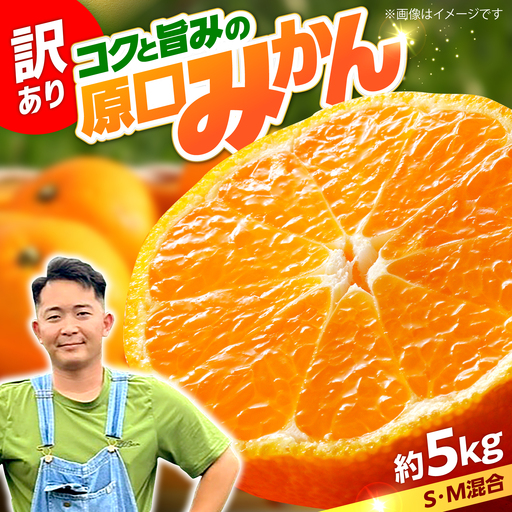 [数量限定] [訳あり] 原口みかん 約5kg [田川農園]