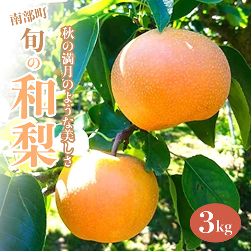 秋の満月のような美しさ、旬の和梨 約3kg ≪沼畑総合ファーム≫ フルーツ王国 フルーツ 旬 果物 和梨 なし 梨 ナシ 青森県 三戸 南部町 F21U-598
