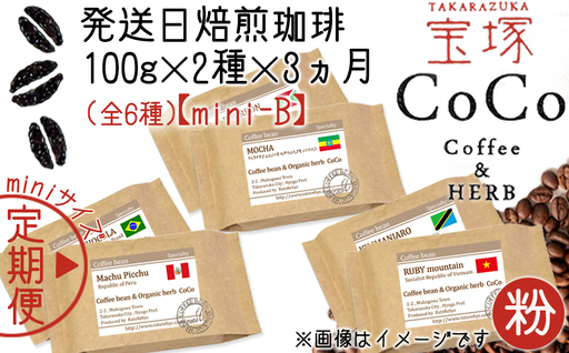 【宝塚】3ヶ月定期便miniB(発送日自家焙煎珈琲豆・全6種 計600g)【粉】