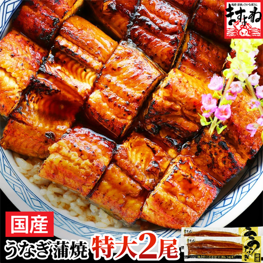 国産 うなぎ蒲焼き 2尾セット （約165g×2尾）[001-a032(20)]