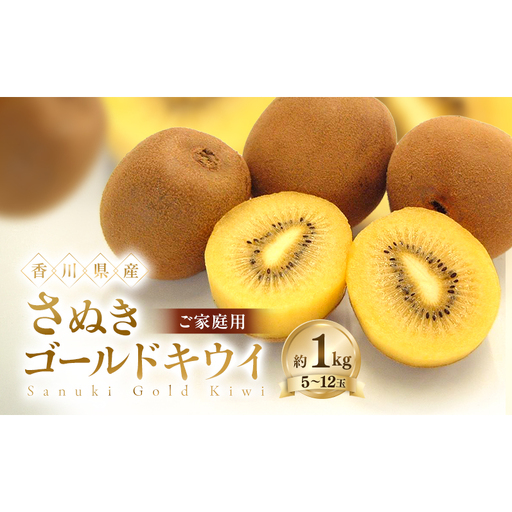 ご家庭用 さぬきゴールド キウイ 約1kg 香川県産 国産 フルーツ 果物