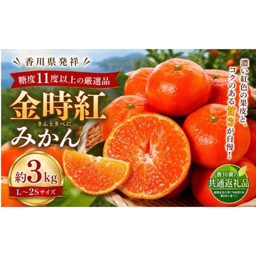 金時紅みかん 約3kg フルーツ みかん 果物 香川県 土庄町