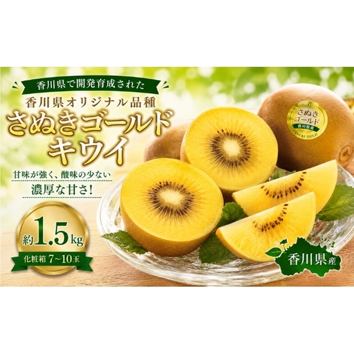 さぬきゴールドキウイ  約1.5kg 化粧箱 キウイ フルーツ 果物 香川県 土庄町