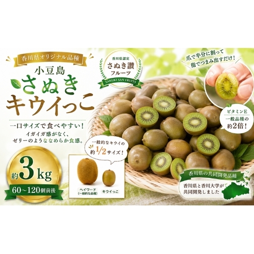 小豆島さぬきキウイっこ 約3kg キウイ フルーツ 果物 香川県 土庄町