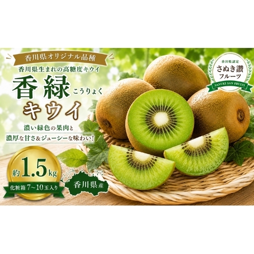 香緑（こうりょく）キウイ  約1.5kg 化粧箱 キウイ フルーツ 果物 香川県 土庄町