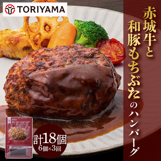 【定期便・全3回】赤城牛と和豚もちぶたのハンバーグ計18個セット（6個×3回） セット レトルト 食品 湯せん 湯煎 一人暮らし 家族 お手軽  F4H-0851