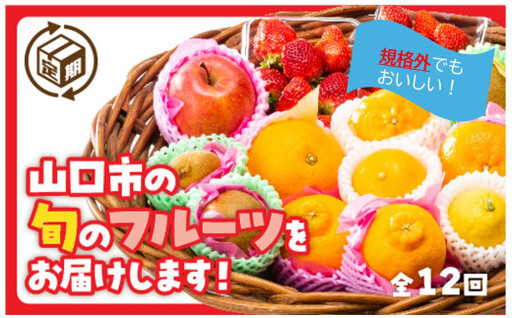 規格外だけど美味しさ満点!エコ・フルーツアソートボックス定期便(12回)
