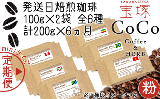 【宝塚】6ヶ月定期便mini(発送日自家焙煎珈琲豆・全6種 計1200g)【粉】