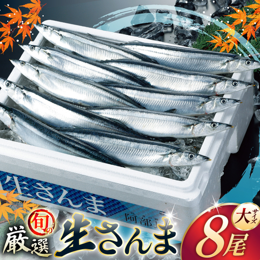 [期間限定発送]生 さんま 8尾 大サイズ