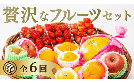 A134 選べる！ご褒美フルーツ定期便（年6回）