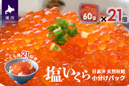 【サーモンフィレー付】北海道日高産 塩いくら小分けパック(60g×21)[15-544]