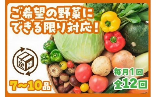 わがまま野菜定期便(年12回)