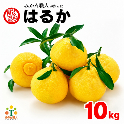【先行予約】 訳あり はるか 10kg なくなり次第終了 柑橘 かんきつ 期間限定 みかん 蜜柑 冬 糖度 みかん職人武田屋 愛媛 愛南