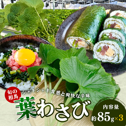 葉わさび 約255g 85g×3袋 旬の相馬  FAI-0110
