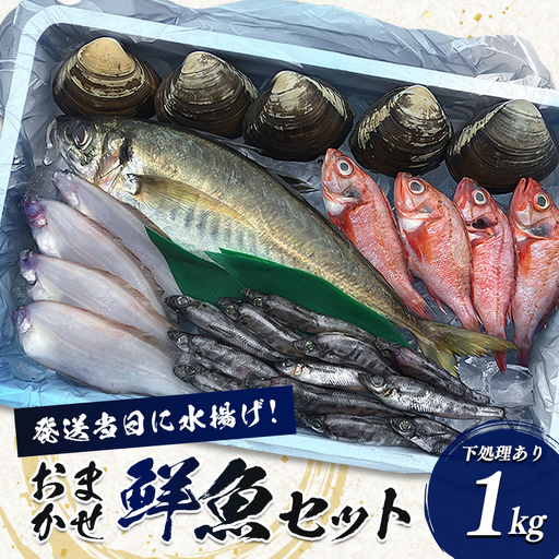 面倒な下処理不要!旬のおまかせ鮮魚セット 約1kg