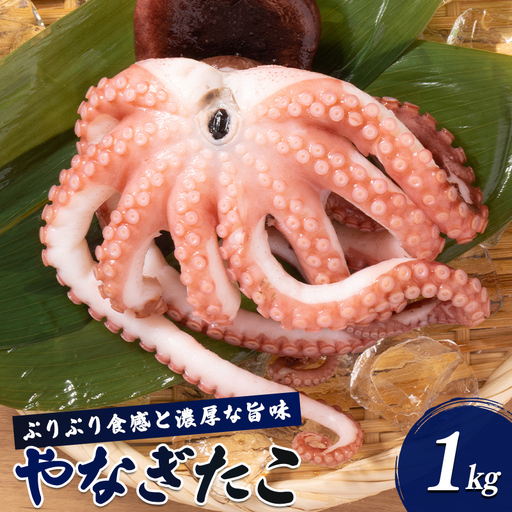 ぷりぷり食感と濃厚な旨み やなぎたこ 約1kg  FAI-0150