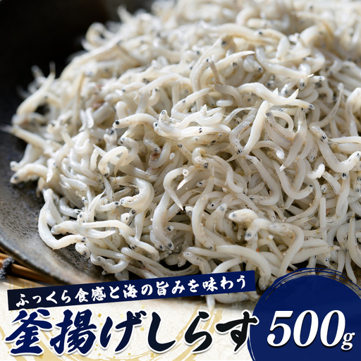 釜揚げしらす ふっくら食感と海の旨みを味わう 500g
