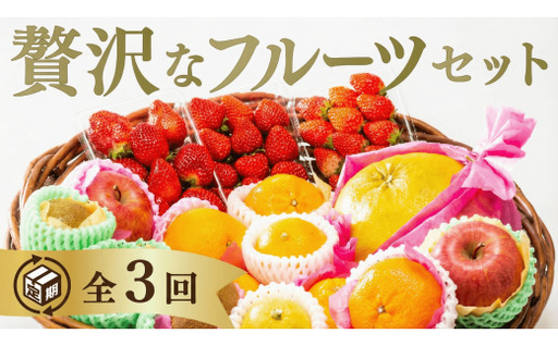 B122 選べる！ご褒美フルーツ定期便（年3回）