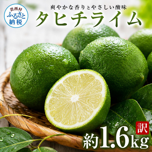 訳あり タヒチライム 約1.6kg ライム サイズおまかせ 国産