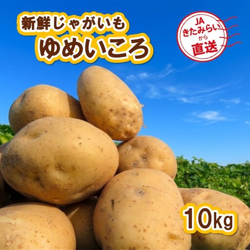 [予約:2026年10月上旬から順次発送]JAきたみらいから直送する新鮮じゃがいも「ゆめいころ」10kg (JAきたみらい JA 直送 じゃがいも いも 芋 ジャガイモ)[104-0019]