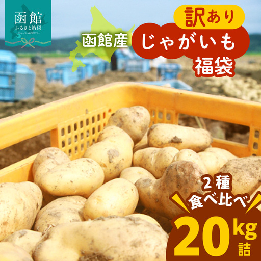 じゃがいも 福袋 2種類 20kg きたあかり 男爵いも メークイン とうや キタカムイ 北海道産 函館市 送料無料_HD206-003