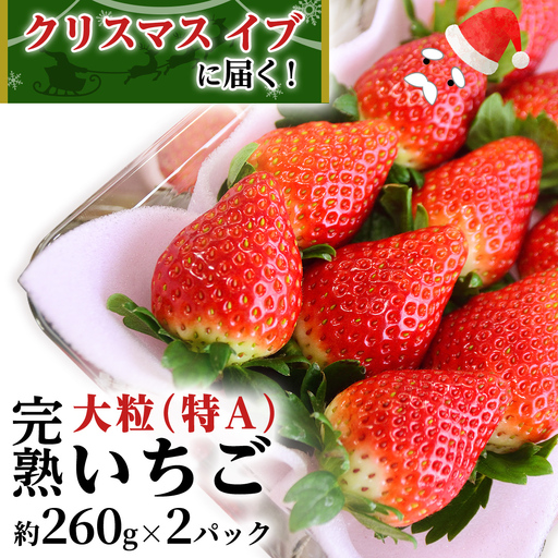 【12/24 到着】 クリスマス イブ に届く 完熟 いちご 約260g×2パック 数量限定 完熟いちご やよいひめ かおり野 とちおとめ 国産 いちご イチゴ 苺 旬のいちご 贈り物 果物 フルーツ 茨城県産 KEK 年内 年末 [BC071sa]