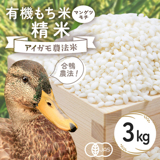 有機もち米（マンゲツモチ）精米　3kg お米 米 白米 もち米 ご飯 ごはん 国産米 産地直送 茨城県 石岡市 B03-014