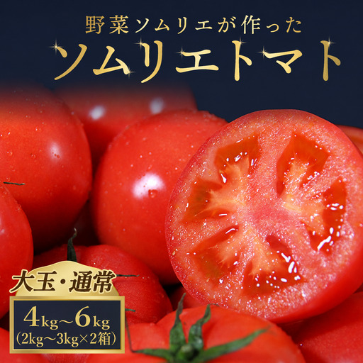 トマト 大玉 2kg～3kg ×２｜レッドアップ