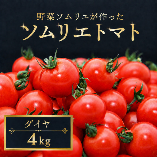 ミニトマト（ダイヤ）4kg｜レッドアップ