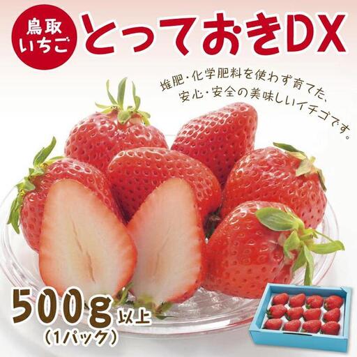 とっておきDX 500g 鳥取いちご【とみハウス】