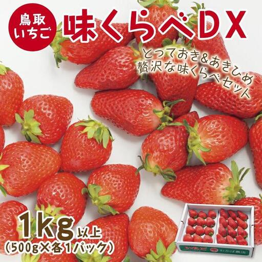 味くらべDX 1kg 鳥取いちご【とみハウス】