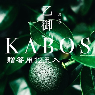 贈答用高級【乙御KABOS】12玉　かぼす発祥の地臼杵市乙見・ブランドかぼす