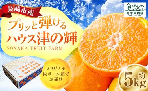 ハウス 「 津の輝 」 約5kg 果物 くだもの フルーツ 柑橘 柑橘類 柑橘系 旬 果実 果汁 果肉 国産 長崎県産 [ 2027年1月下旬〜2月上旬まで順次発送予定 ]