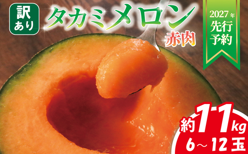 メロン 訳あり 2027年 先行予約 赤肉 約 11kg 6〜12玉 タカミメロン