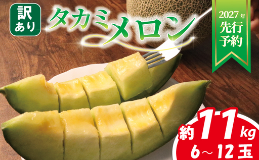 メロン 訳あり 2027年 先行予約 青肉 約 11kg タカミメロン