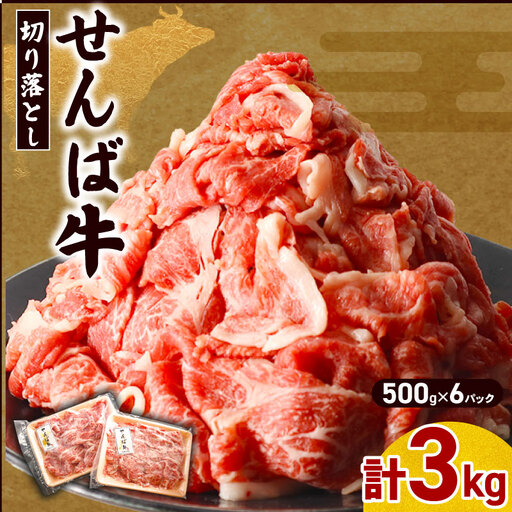 牛肉 切り落とし 3kg せんば牛 牛肉切り落とし
