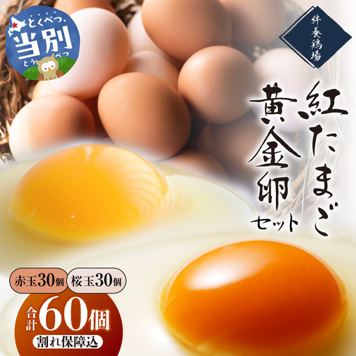 紅たまごと黄金卵 各30個セット | たまご タマゴ 平飼いたまご たまごかけご飯 玉子 生卵 卵焼 北海道 当別町
