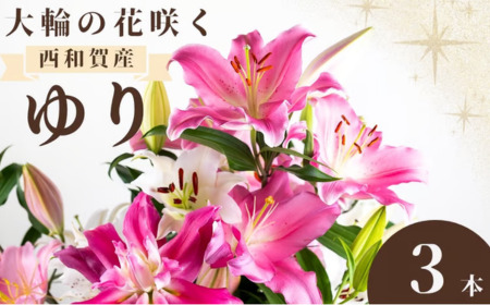 [期間限定11月30日迄]高原ふれあい産直 西和賀・高原のユリ 3本