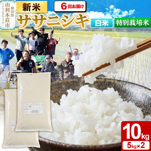 《令和8年産 新米》《定期便6ヶ月》【白米】特別栽培米 ササニシキ 10kg（5kg×2袋） 秋田県産