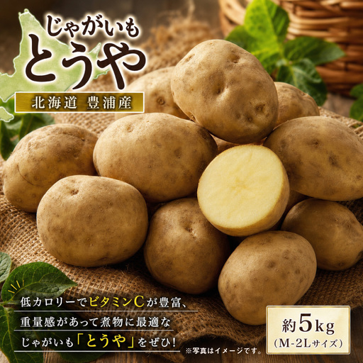 北海道 豊浦産 じゃがいも とうや 約5kg M - 2L サイズ ジャガイモ イモ いも 芋 野菜 やさい 国産 煮物 肉じゃが カレー シチュー 低カロリー ビタミンC [ 2026年12月頃迄発送予定 ]