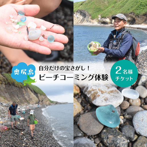 ビーチコーミング体験 奥尻島 2名様 体験 チケット 体験型 返礼品 シーグラス ガラス片 貝殻 貝がら 流木 漂着物 クラフト素材 自然 アクティビティ ガイド 離島 探索 観光 旅行 海辺 浜辺 島旅 自由研究 思い出 ファミリー 北海道 奥尻町