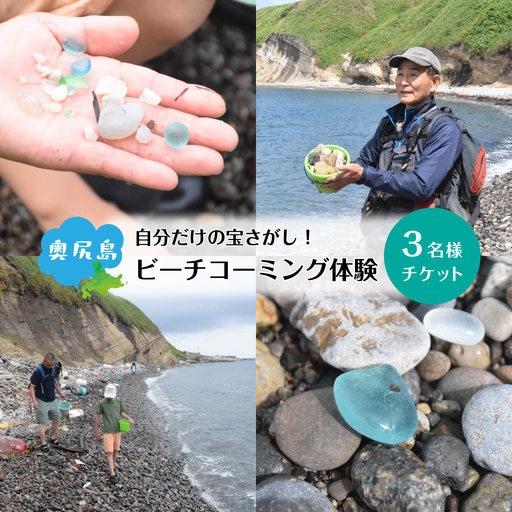 ビーチコーミング体験 奥尻島 3名様 体験 チケット 体験型 返礼品 シーグラス ガラス片 貝殻 貝がら 流木 漂着物 クラフト素材 自然体験 アクティビティ ガイド 離島 探索 観光 旅行 海辺 浜辺 島旅 自由研究 思い出 ファミリー 北海道 奥尻町