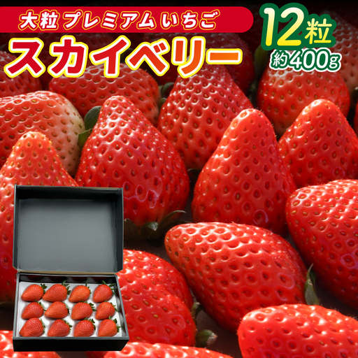 【数量限定】大粒プレミアムいちご スカイベリー 12粒 (約400g)  (DS004)