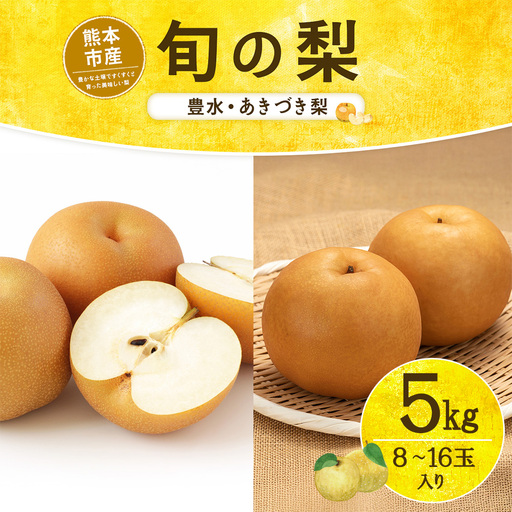 旬の梨 ( 豊水 、 あきづき梨 ) 約5kg 8玉 〜 16玉入り ナシ なし 果物 くだもの フルーツ 果実 果汁 果肉 季節限定 フルーツサラダ 贈り物 贈答品 国産 熊本県産 旬の果物 冷蔵 [ 2026年8月下旬〜10月上旬発送予定 ]