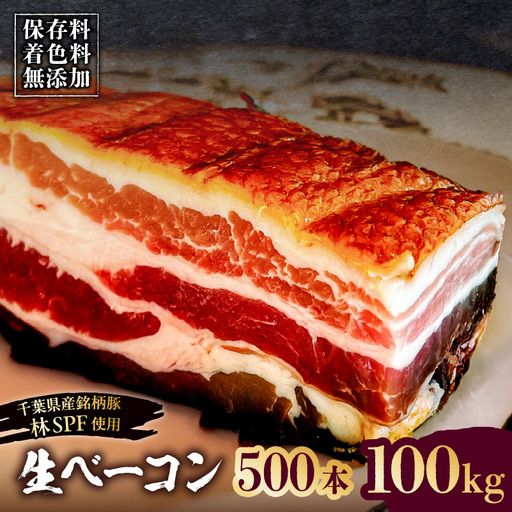 生ベーコン【保存料・着色料無添加】《国産銘柄豚 林SPFプレミアムポーク 豚バラ》500本 100kg 【kt088-005-14】