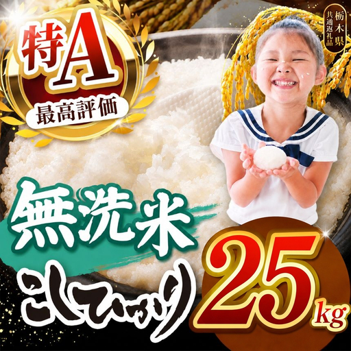 【2026年産】栃木県産コシヒカリ無洗米 25kg【栃木県共通返礼品 栃木県産】