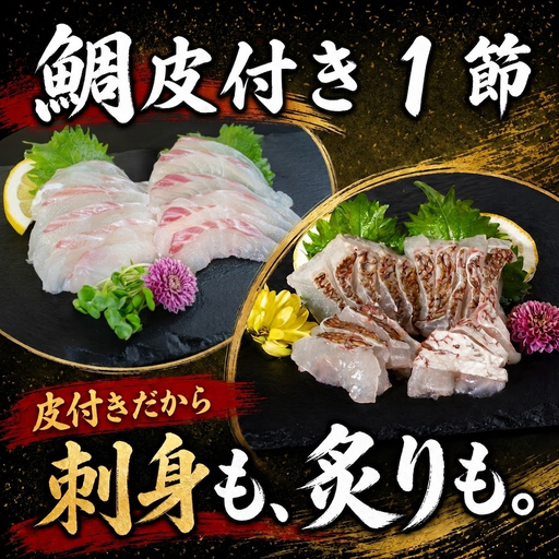 養殖真鯛  1節 皮付き ロイン 