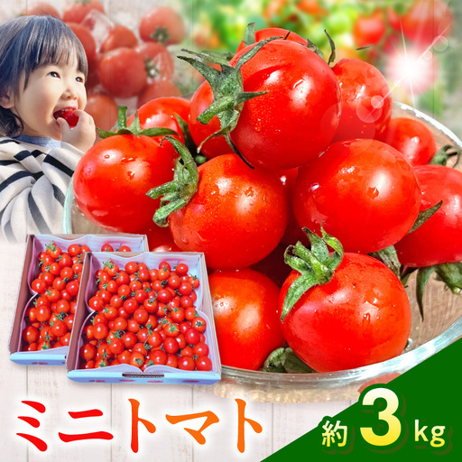渕上農園　【常温】ミニトマト3kg_U150-0002